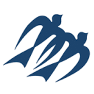 company-logo