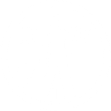 DWL-Wolf GmbH