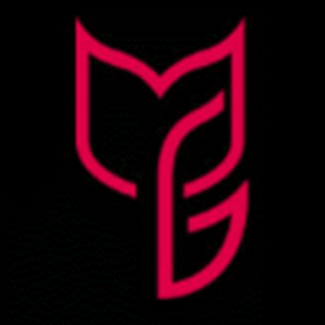 company-logo