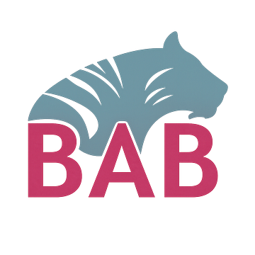 BAB Consult