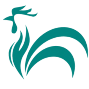 company-logo