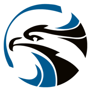 company-logo