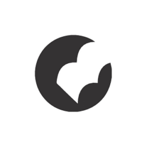 company-logo