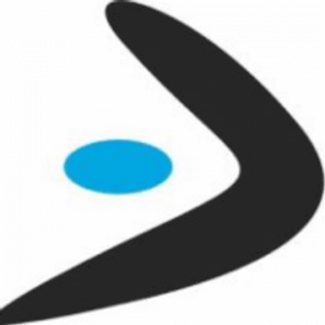 company-logo