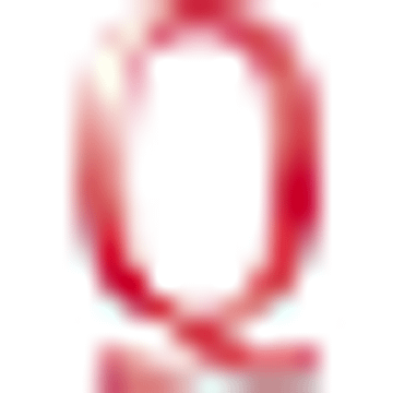 Querschiesser Unternehmensberatung GmbH & Co. KG