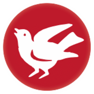 company-logo