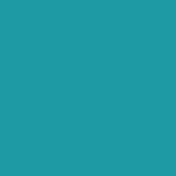 BSW Logistik Services & Co. KG
