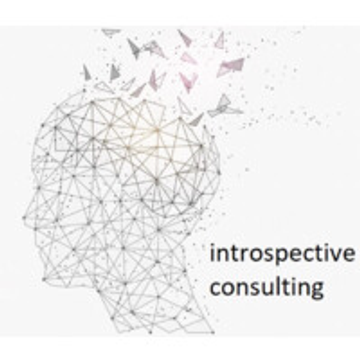 introspective consulting
