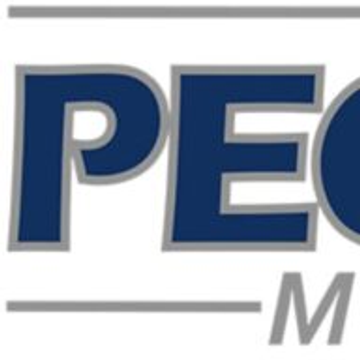Pegasus Management GmbH