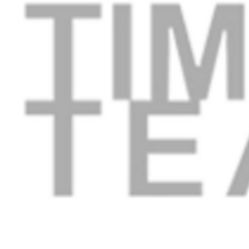 TIMMS TEAM