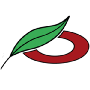 company-logo
