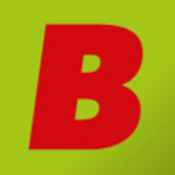 Elektro Birk