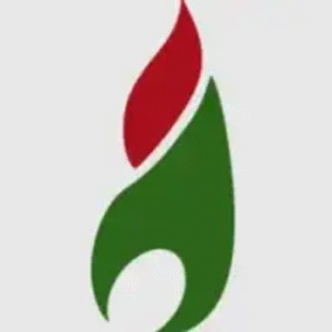 company-logo