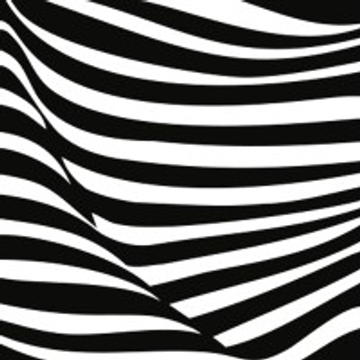 zebra white