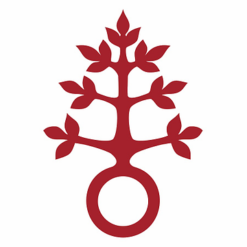 Dominikus-Ringeisen-Werk Stiftung des öffentlichen Rechts