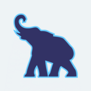 company-logo
