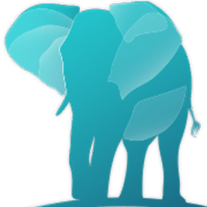 company-logo