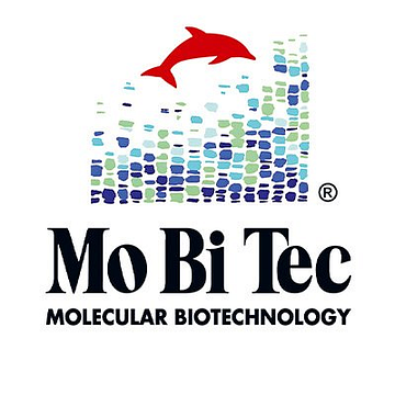 mobitec Kottmann und Berger