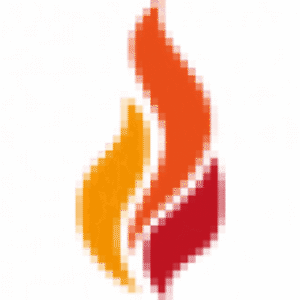 company-logo