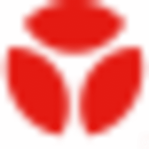 company-logo