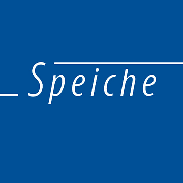 Speiche