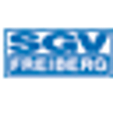 SGV Freiberg e.V.