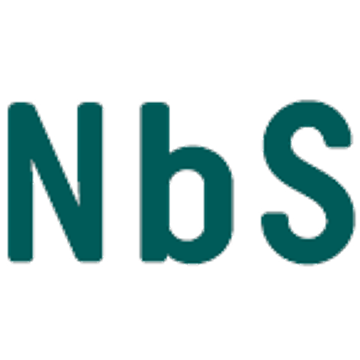 NbS Carbon GmbH
