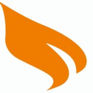 company-logo