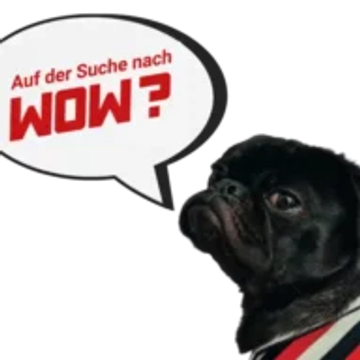 WandNeu GmbH