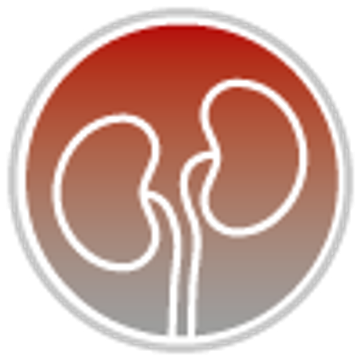 Nephrologisches Zentrum Dr. Volkmar Lufft