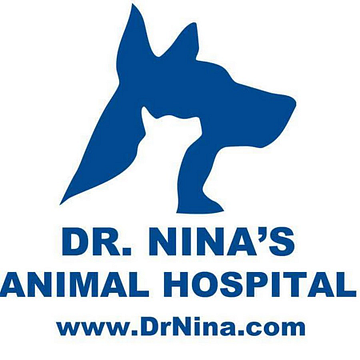 Dr. Nina Müller-Gellweiler