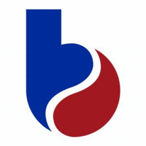 company-logo