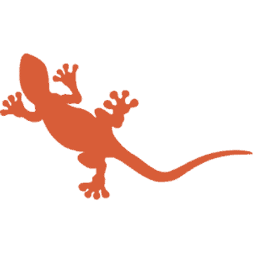 Gecko escalade Sàrl