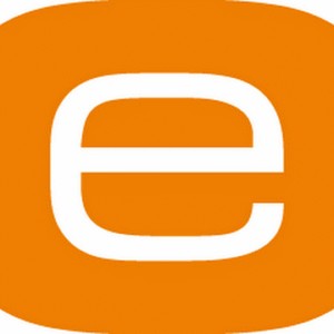 company-logo