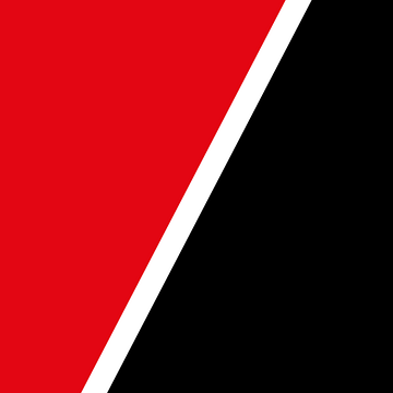 SafeLane Global