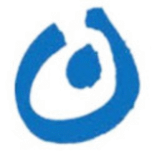 company-logo