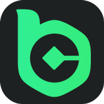 BZ Bioenergie & Co. KG