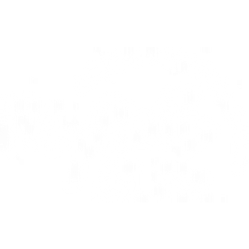 DBT Skills Group Facilitator (1099)