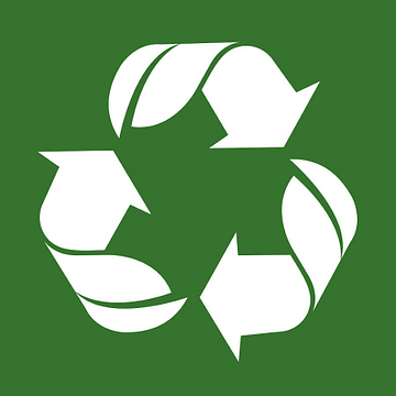 Renergon International