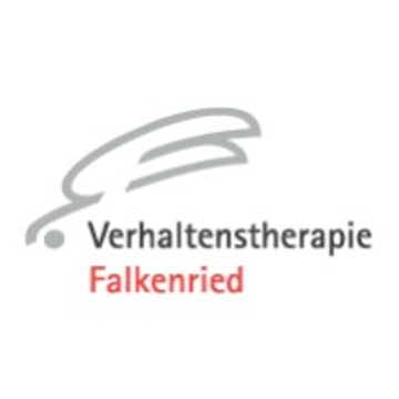 Vt Falkenried