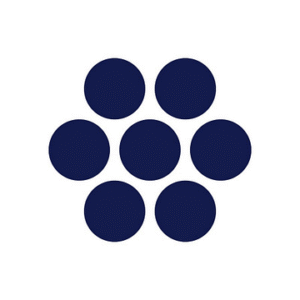 company-logo