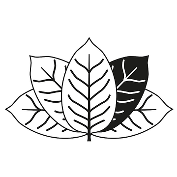 The Cigar Market