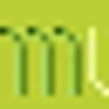 Linser Industrie Service GmbH