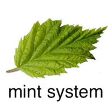 Mint System GmbH