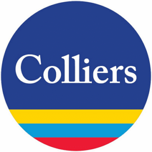 company-logo