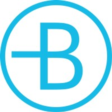 BRAUS BERATUNG+REVISION GmbH (Wirtschaftsprüfungsgesellschaft)