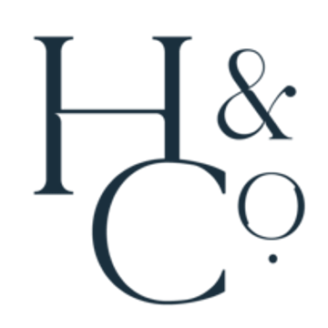 Haug & Co. KG Ionisationstechnik