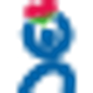 company-logo