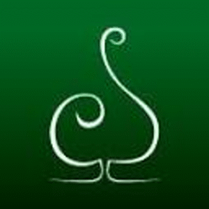 company-logo