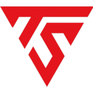 company-logo
